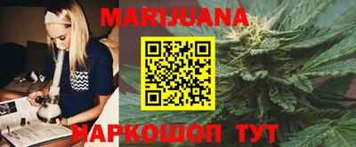 молекула духа Камышлов