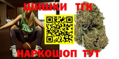 молекула духа Камышлов