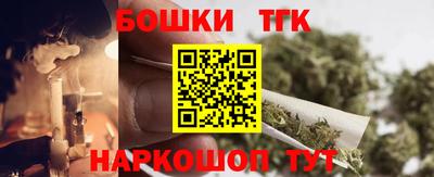 молекула духа Камышлов