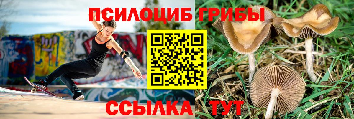 Галлюциногенные грибы ЛСД Кыштым